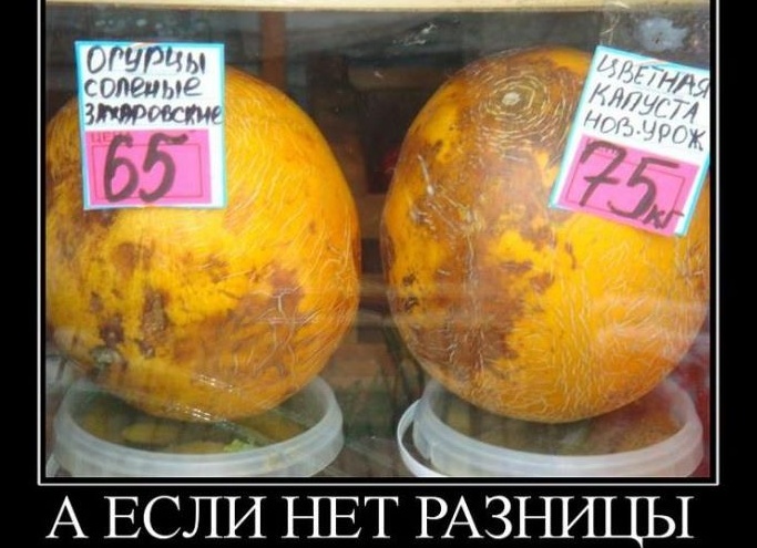 Зачем платить больше, если нет разницы: Эва коврики для авто своими руками