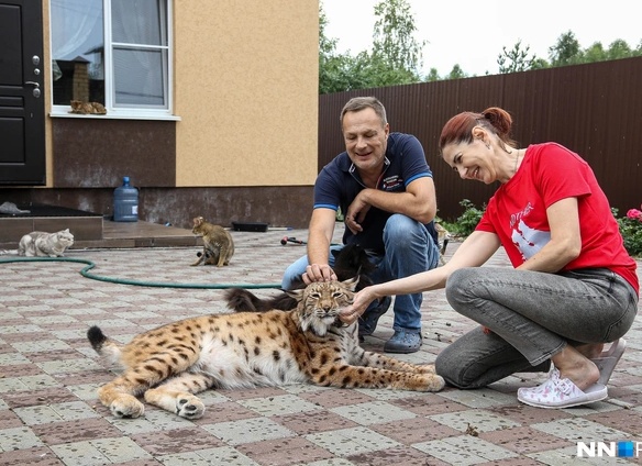 Жена запрещала Илье заводить собаку. Но судьба поджидала его в автомобиле