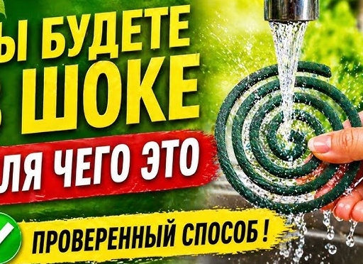 Вы даже не догадывались, зачем нужны коврики для машины!